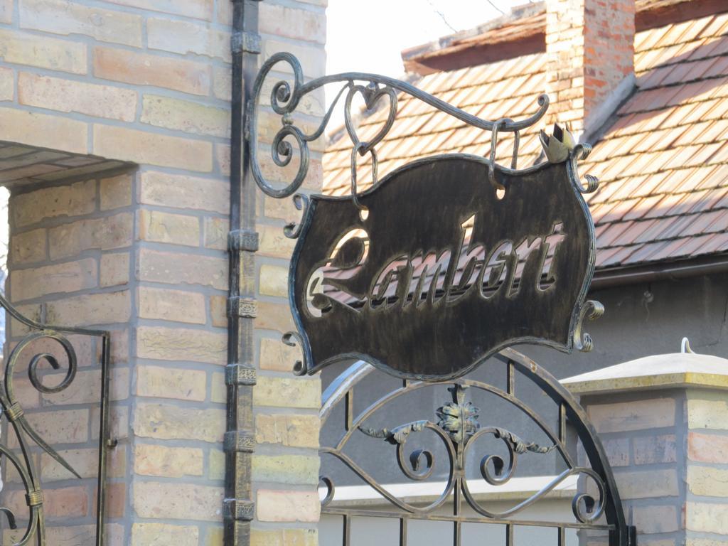 Family House Lambert Berehove (Transcarpathia) Exterior photo